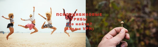 СК Кукмор