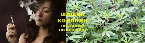 СК Кукмор