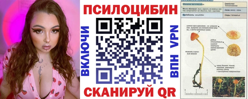 Купить закладки  Новое Девяткино  Псилоцибиновые грибы прущие грибы 